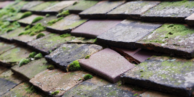 Stow Cum Quy roof repair costs